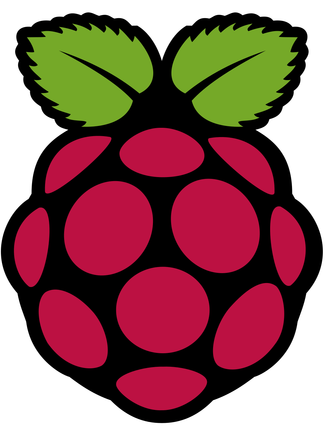 Raspberry